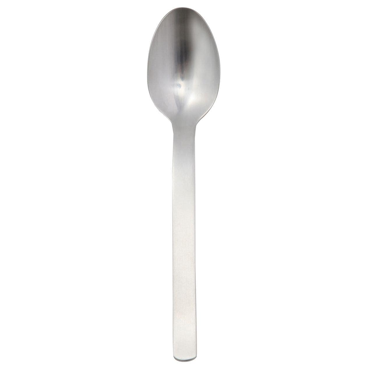 STAINLESS STEEL SPOON / S
